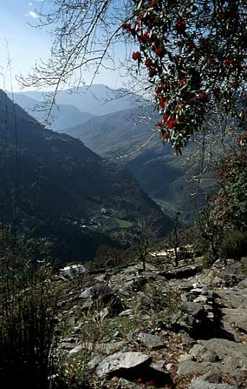 Foot hills of the Annapurnas 