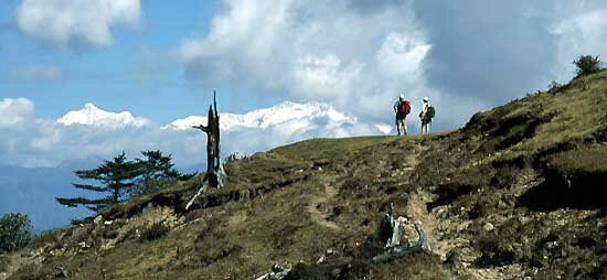 Looking towards the Kangchenjunga Range from the Singalila Ridge