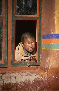 A novice monkat Tseram Monastery peers out of the window at his colleagues.